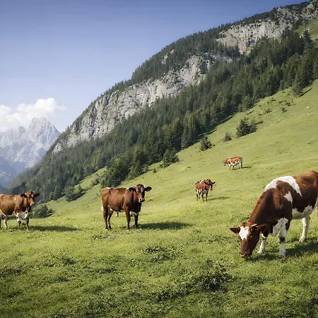 Апартаменты Am Obersalzberg By Interhome *