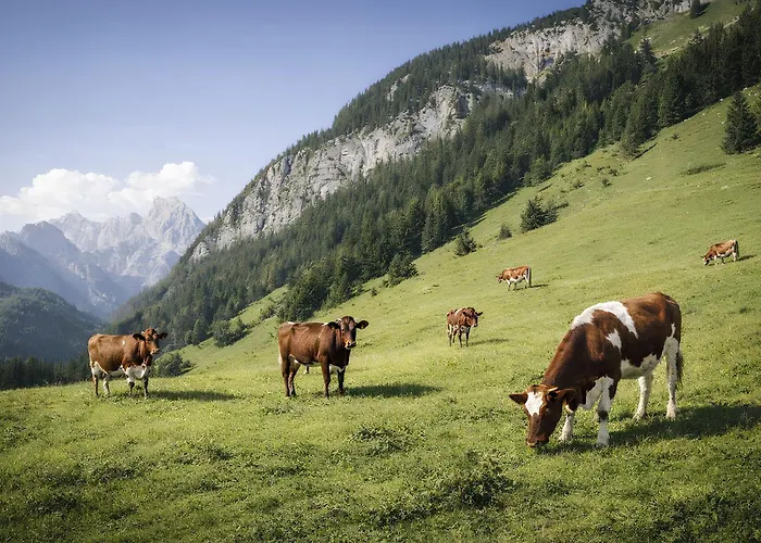 Lejlighed Am Obersalzberg By Interhome *
